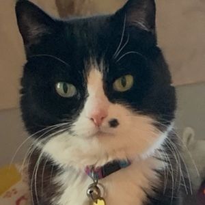 Meet your Posher, Mimi